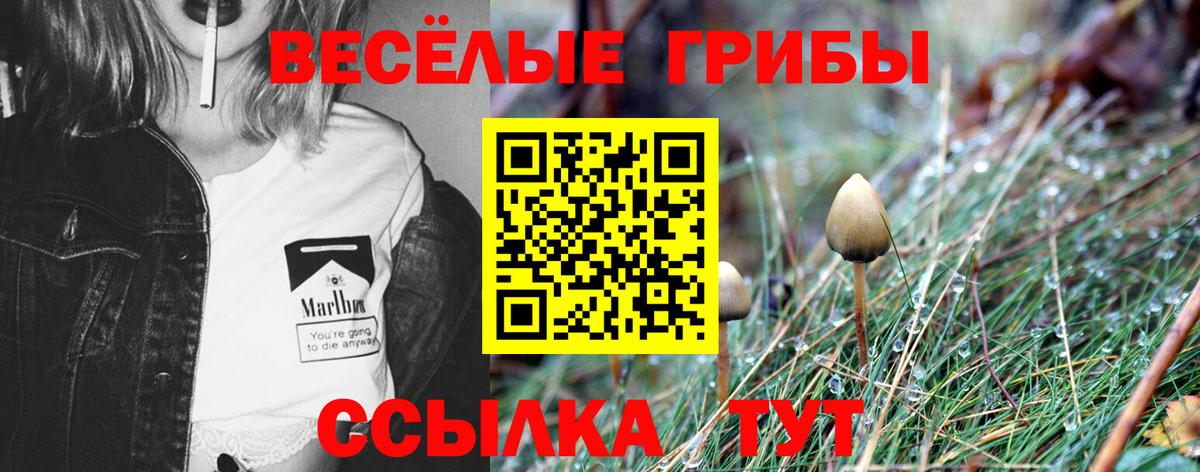 Галлюциногенные грибы Psilocybine cubensis  Псилоцибиновые грибы Magic Shrooms  Выборг  Вход с VPN 