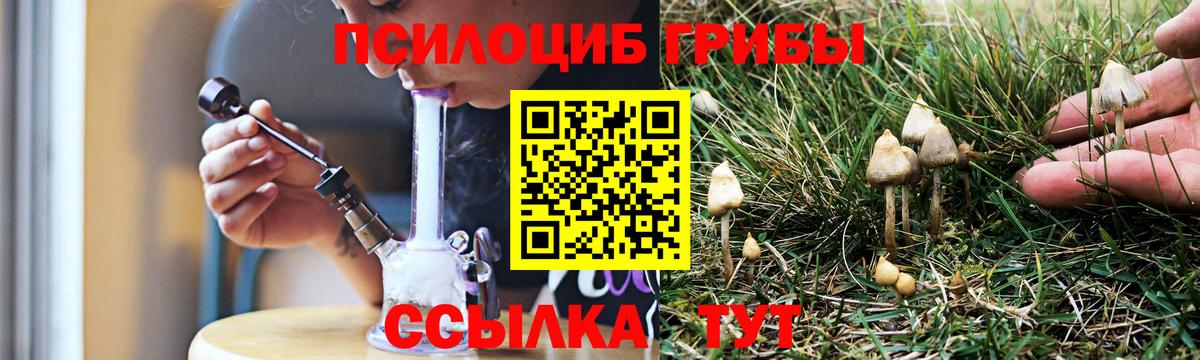 Псилоцибиновые грибы прущие грибы Выборг